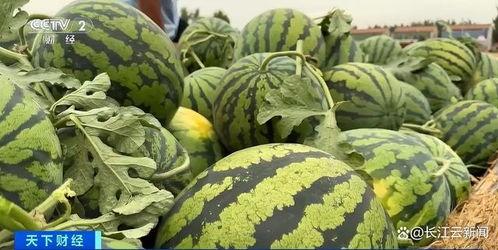 熱門大瓜每日必吃大瓜合集,揭秘娛樂圈最新動態，一網打盡娛樂圈風云