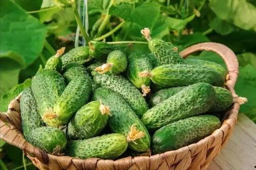 最近大瓜事件,揭秘明星隱私風波背后的真相