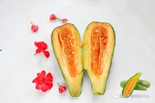 懷仁最近網(wǎng)紅大瓜,揭秘背后驚人真相