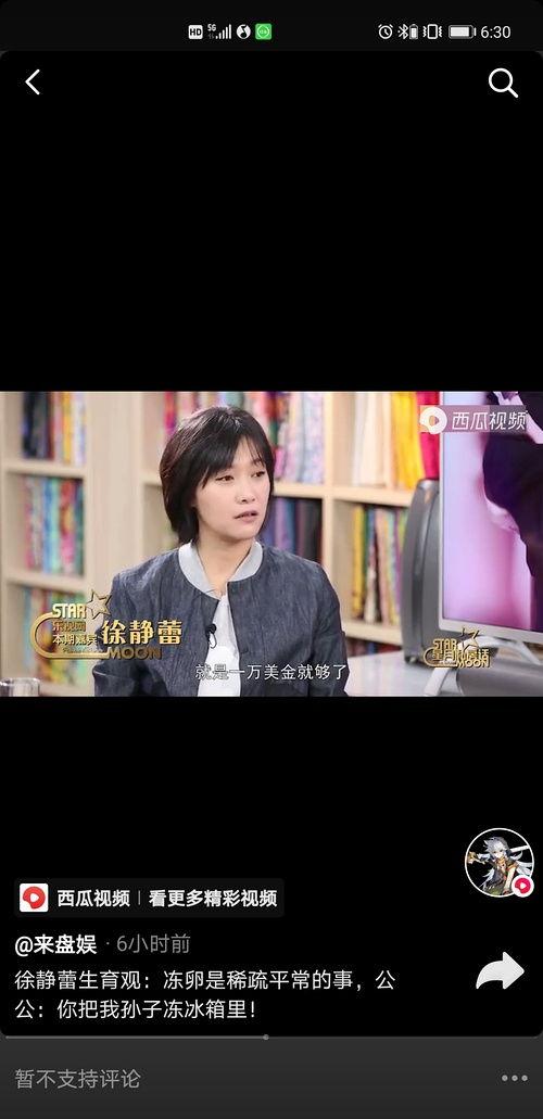 明星黑料ppt,PPT背后的真相與反思