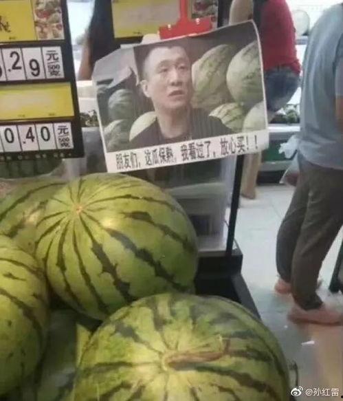 網紅熱瓜,揭秘網絡紅人的崛起與爭議