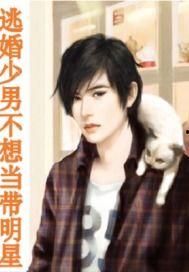 明星小說,明星小說中的璀璨人生