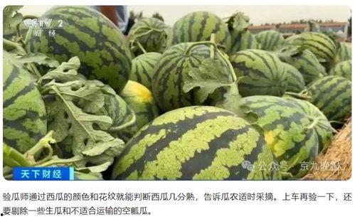 瓜老師,開啟人生新篇章