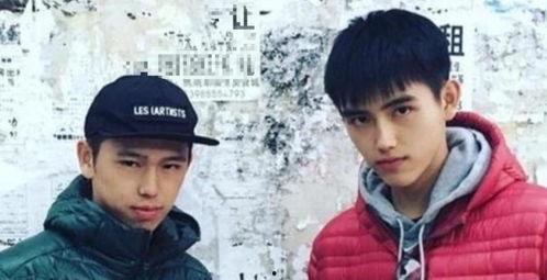 爆黑料和曝黑料的用法,爆黑料與曝黑料的背后真相