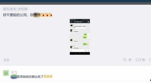 獨家爆料是什么意思,揭開神秘事件的背后真相