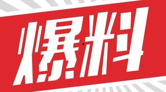 獨(dú)家爆料,震驚內(nèi)幕，揭秘事件背后真相！