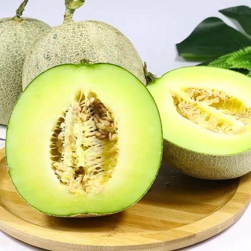 網紅熱瓜,揭秘網絡紅人的崛起與爭議