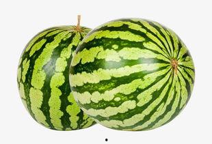 熱門大瓜每日必吃大瓜合集,揭秘娛樂圈最新動態(tài)，一網(wǎng)打盡娛樂圈風(fēng)云