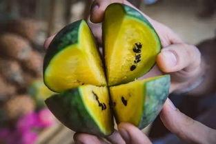 朝陽號外官網(wǎng)免費吃瓜,免費吃瓜盛宴，暢享夏日清涼！