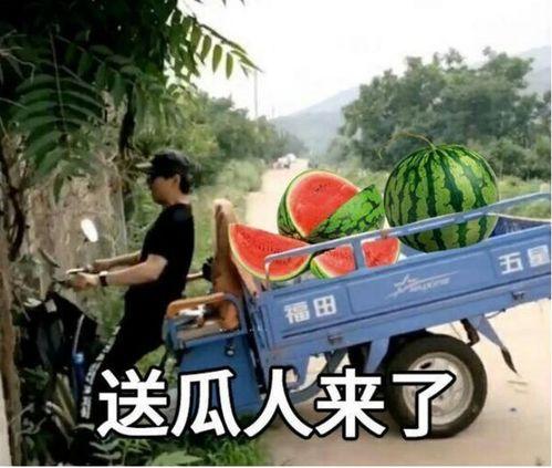 最近大瓜事件,揭秘明星隱私風波背后的真相