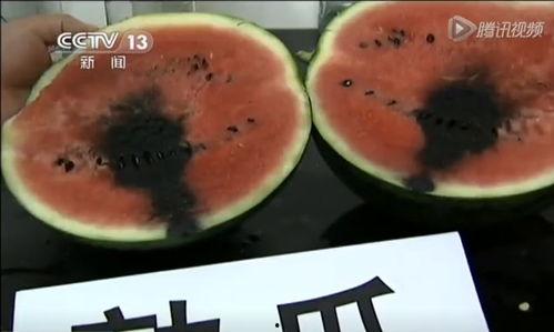 52吃瓜爆料免費(fèi)吃瓜視頻